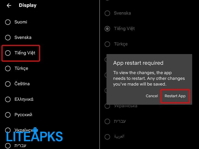 Netflix Premium APK