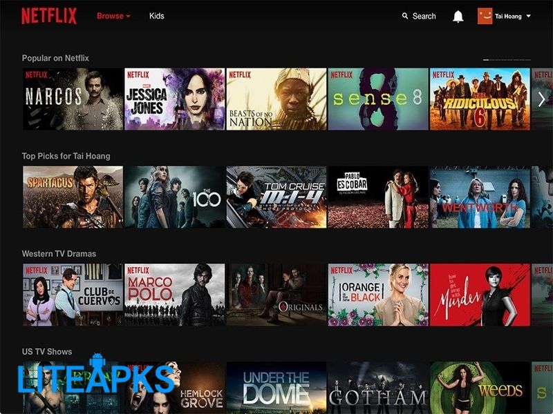 Netflix Premium APK