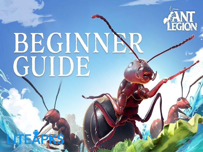 Hack Ant Legion