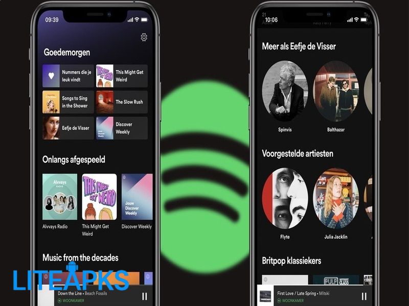 Spotify Premium APK