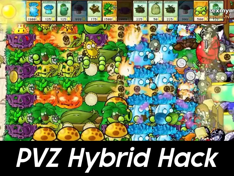 Những Điểm Nổi Bật Độc Đáo Của Phiên Bản PVZ Hybrid Hack